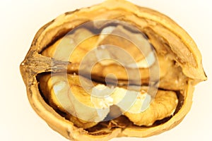 Nut seed healthy natural food healthy shell photo