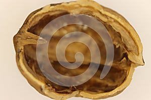 Nut seed healthy natural food healthy shell photo