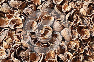 Nut shell. Empty walnut shell. Nuts texture. Selective focus