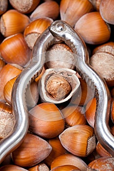 Nutcracker with cracked hazelnut