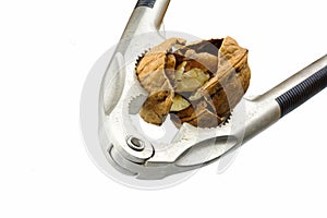 Nutcracker cracks walnut isolated on a white background