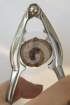 Nutcracker nut crack