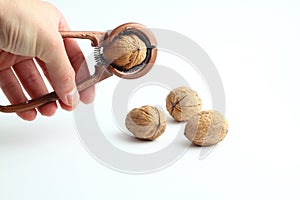 Nutcracker held in male hand and crack a walnut isolated on a white background.