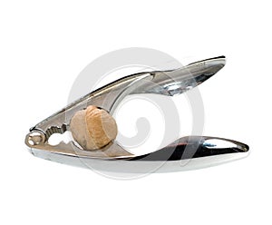 Nutcracker With Walnut