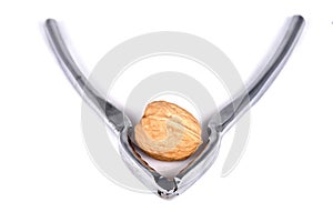 Nutcracker and walnut