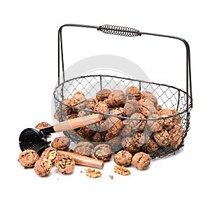 Nutcracker with walnut