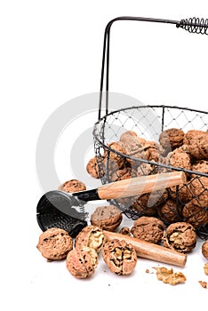 Nutcracker with walnut