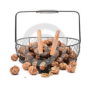 Nutcracker with walnut