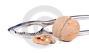 Nutcracker and walnut.