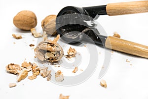 Nutcracker, walnut kernel peeled and whole nutshells, on a white background