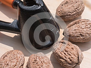 Nutcracker and Walnuts