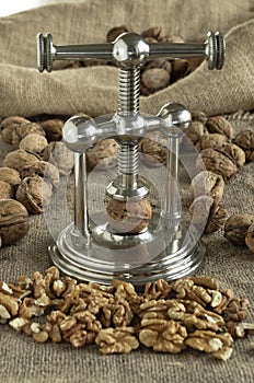 Nutcracker walnuts