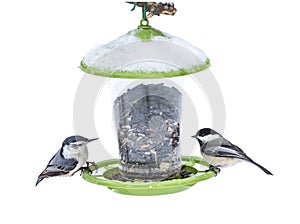 Nuthatch and Chickadee on Snow capped birdfeeder