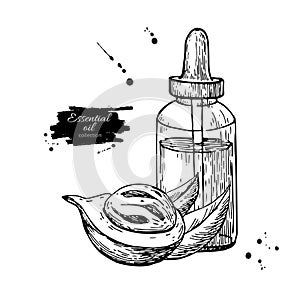 Nutmag essential oil bottle and mace fruit. Hand drawn vector illustration. Isolated drawing photo