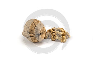 Nutmeat with shell and white bakcground