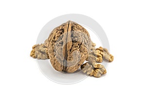 Nutmeat with shell and white bakcground