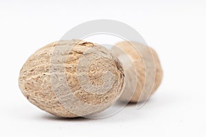 Nutmeg isolated. Whole nut and nutmeg powder isolated on white background