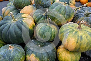 Nutmeg pumpkins. The nutmeg pumpkin has a green or brownish-orange peel and a roundish, ribbed shape.