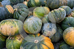 Nutmeg pumpkins. The nutmeg pumpkin has a green or brownish-orange peel and a roundish, ribbed shape.