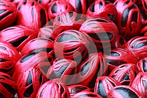 Nutmeg seeds