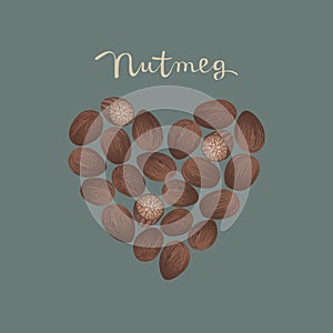 Nutmeg spice in a heart shape on the blue background