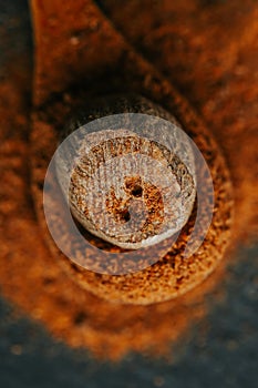 Nutmeg whole and ground.condiments and spices background. Nutmeg in a cut and nutmeg powder in a wooden spoon on a black