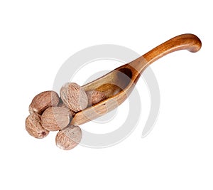 Nutmeg in the wooden spoon, isolated on white background. photo
