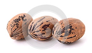 Nutmegs (Myristica fragrans photo