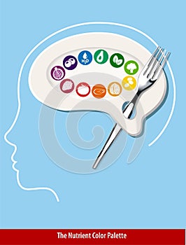 The Nutrient Color Palette Brain Shape