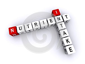 Nutrient Intake word block on white
