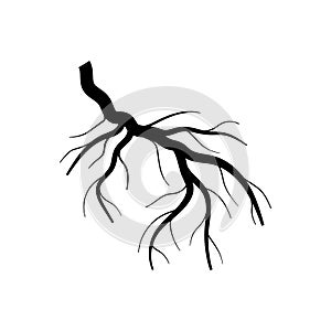 nutrients tree root cartoon vector illustration