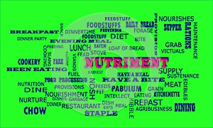 Nutriment word presented on text cloud