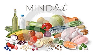 Nutrition concept for MIND diet. Assortment of healthy food ingredients for cooking. Hand drawn illustration.