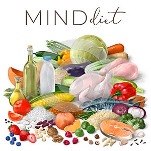 Nutrition concept for MIND diet. Assortment of healthy food ingredients for cooking. Hand drawn illustration