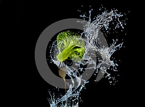 Nutrition and diet food picture with fresh broccoli on fork and water splash isolated on black background