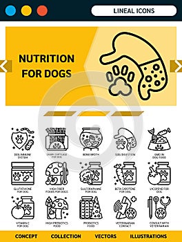 nutrition for dog lineal icons. photo