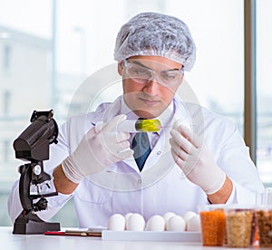 Nutrition expert testing food products in lab