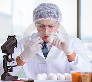 Nutrition expert testing food products in lab