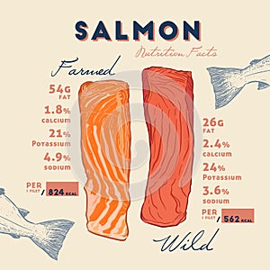 Nutrition fact of Wild and farmed salmon. photo