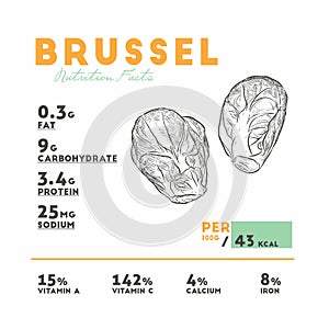 Nutrition facts of brussel, hand draw vector