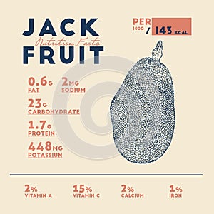 Nutrition facts of jackfruit, hand draw sketch vector