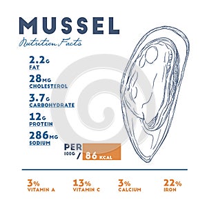 Nutrition facts of mussel, hand draw sketch vector