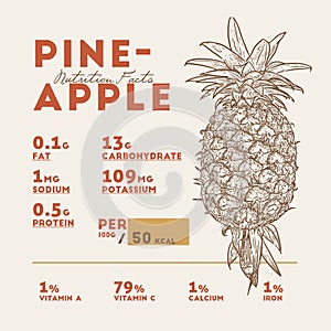 Nutrition facts of pineapple, hand draw sketch vector