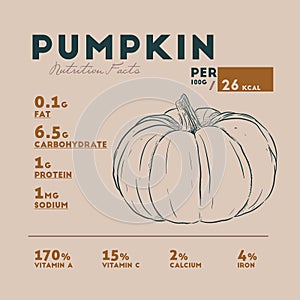 Nutrition facts of pumpkin, hand draw sketch vector
