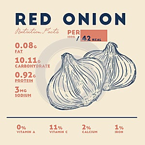 Nutrition facts of red onion, hand draw sketch vector