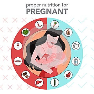 Nutrition infographics for pregnant woman. Healthy diet for baby.