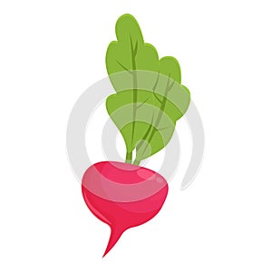 Nutrition radish icon cartoon vector. Red green color