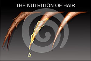 Výživa a posílení vlasy 
