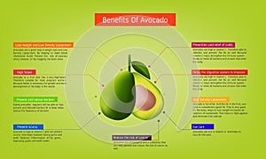 Nutritional benefits of Avocado Infographic about nutrients in Avocado Fruit and agriculture vector illustration nutrition and hea