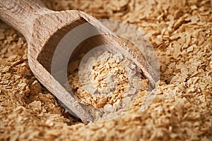 Nutritional brewers yeast flakes